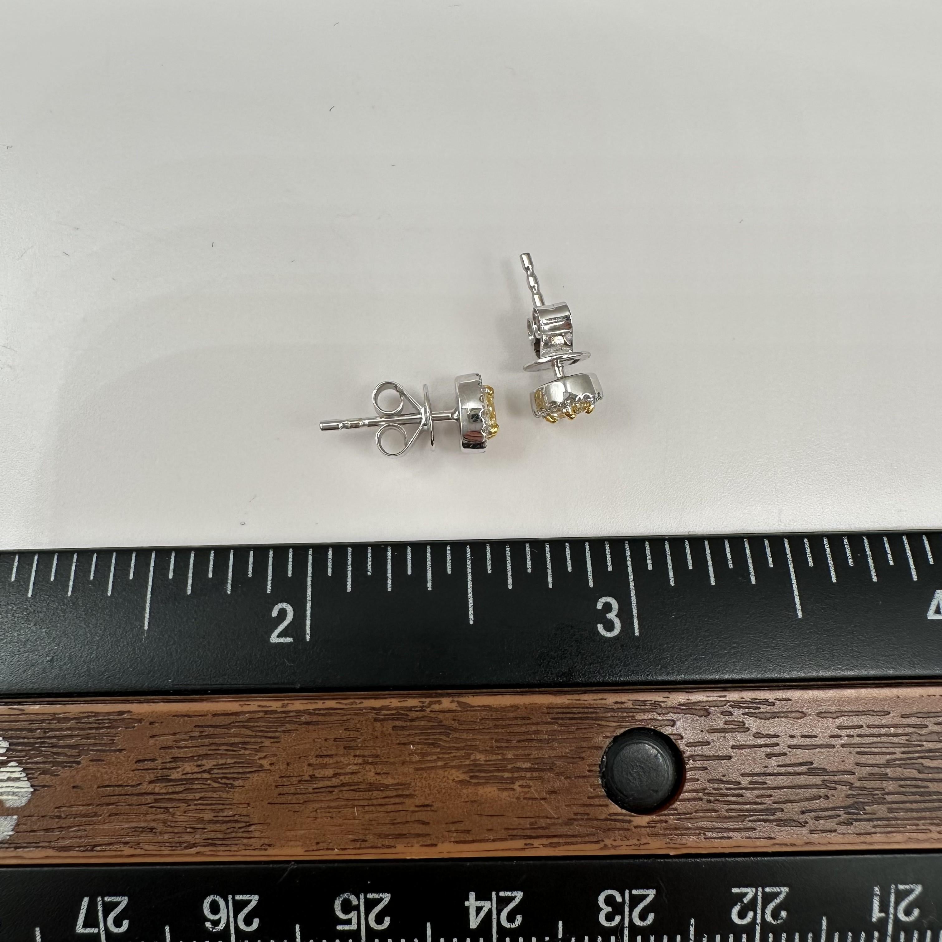 Natural Yellow Diamond Stud Earrings 14kt Two Tone Gold 0.50ctw VS SI New