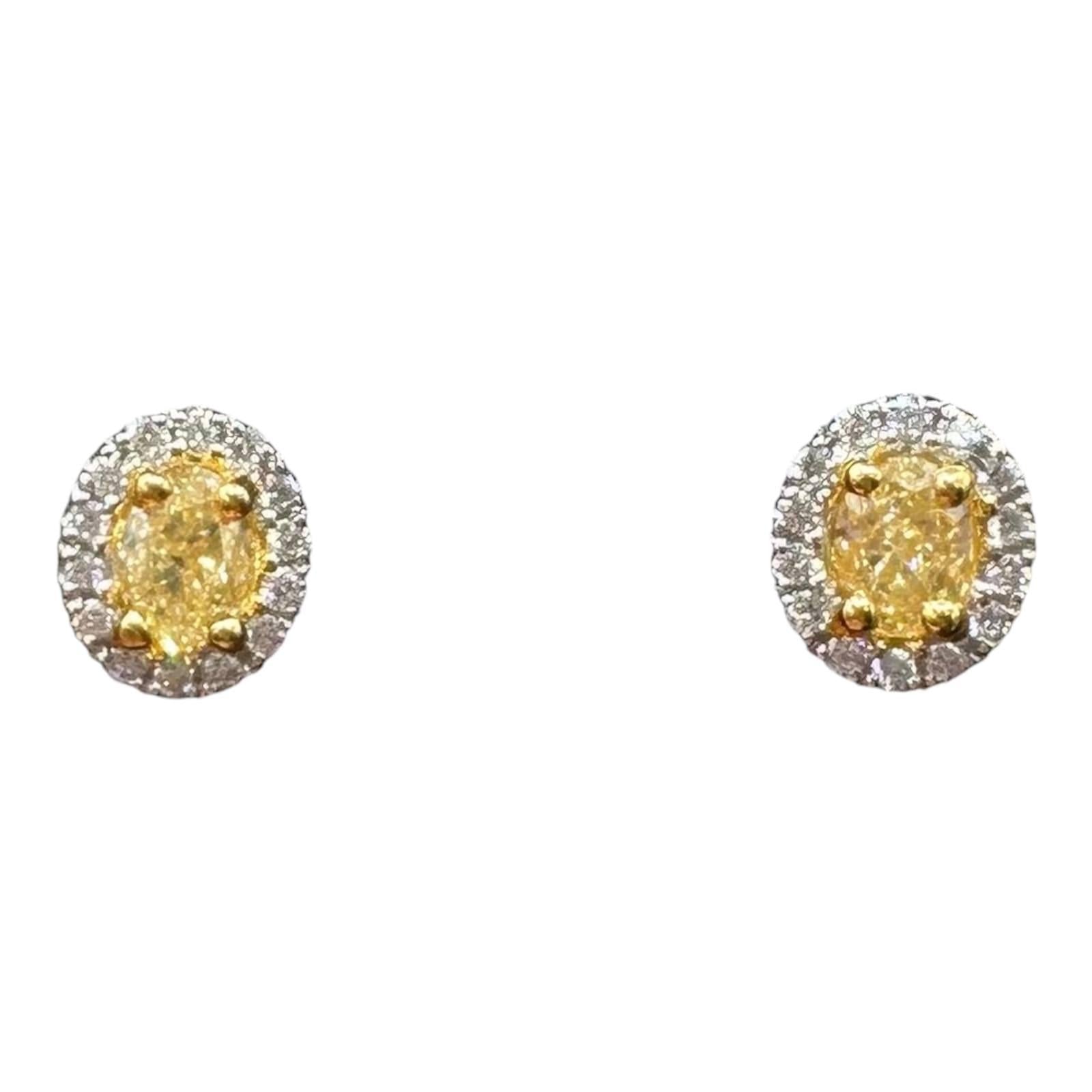 Natural Yellow Diamond Stud Earrings 14kt Two Tone Gold 0.50ctw VS SI New